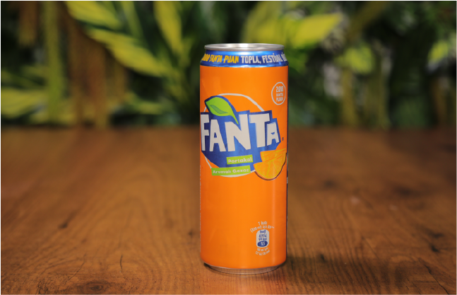 KUTU FANTA